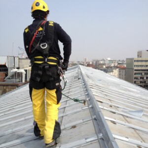 altais-ligne-de-vie-toiture